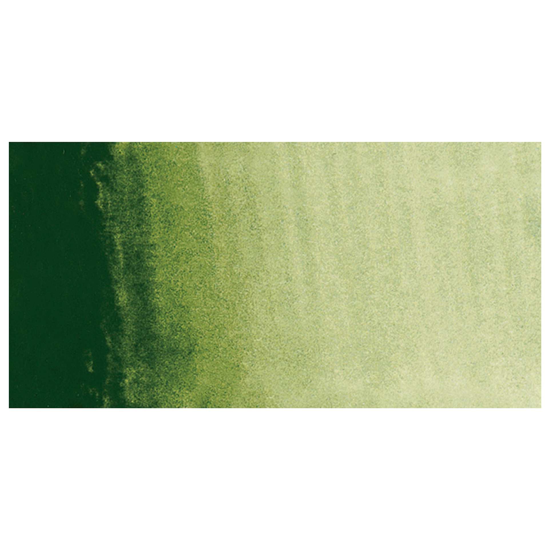 Sennelier French Artists' Watercolor - Sap Green swatch Sennelier French Artists' Watercolor - Sap Green swatch