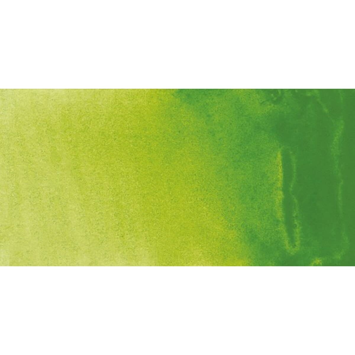 Sennelier French Artists' Watercolor - Phthalo Green Light swatch Sennelier French Artists' Watercolor - Phthalo Green Light swatch