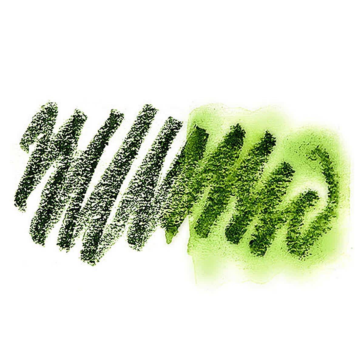 Daniel Smith Watercolor Stick - Sap Green swatch