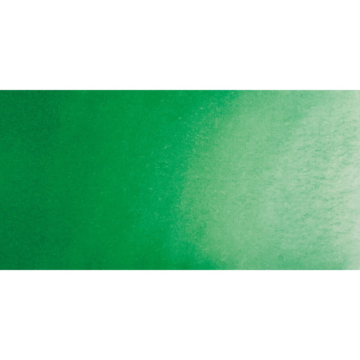 Vallejo Liquid Watercolor - Forest Green swatch