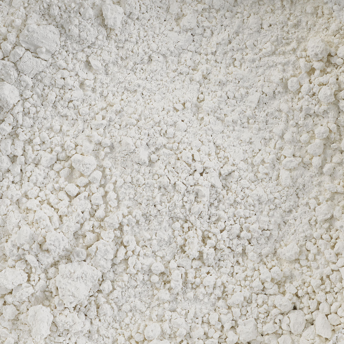 Three Little Twigs Tempera Powder Paint - White (Close-up of pigment powder)