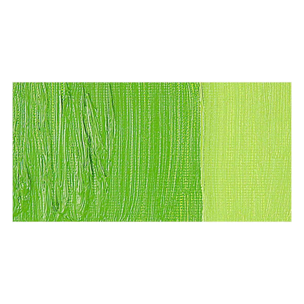 Pebeo XL Studio Oil Paint - English Light Green swatch