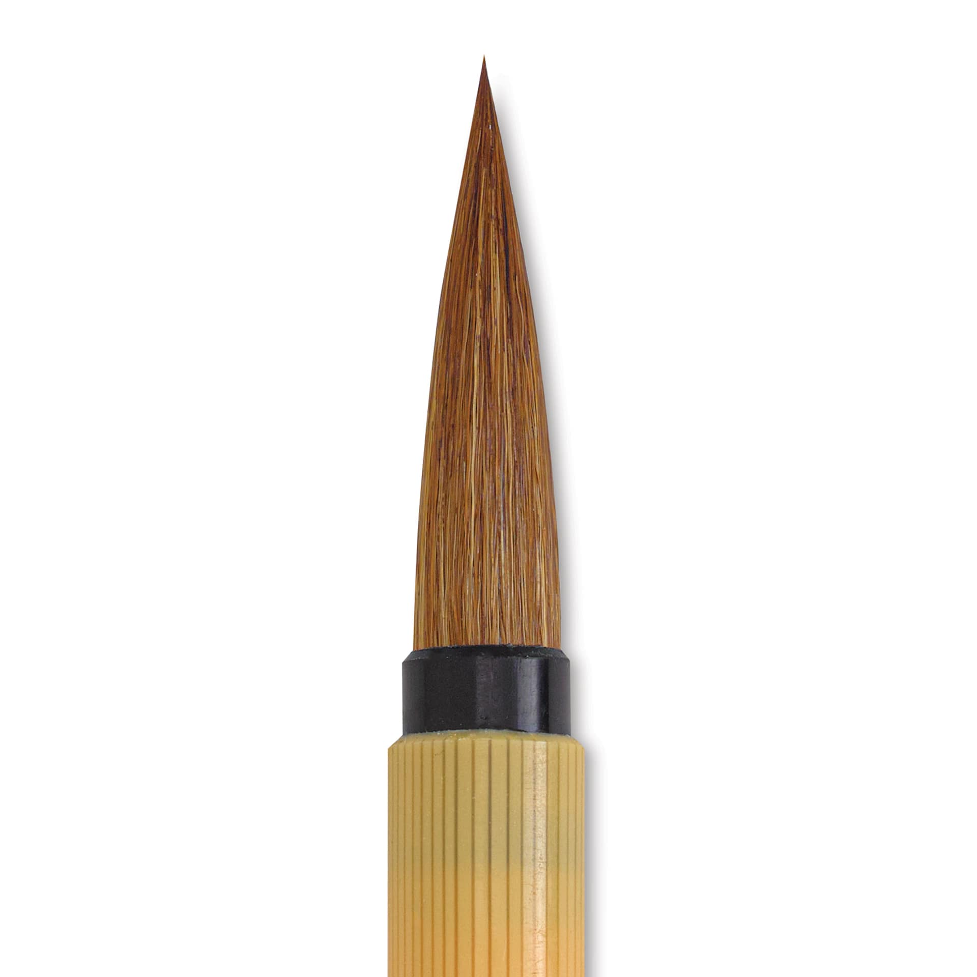 Blick Sumi Brush - Size 6, close-up of the hairs Blick Sumi Brush - Size 6, close-up of the hairs