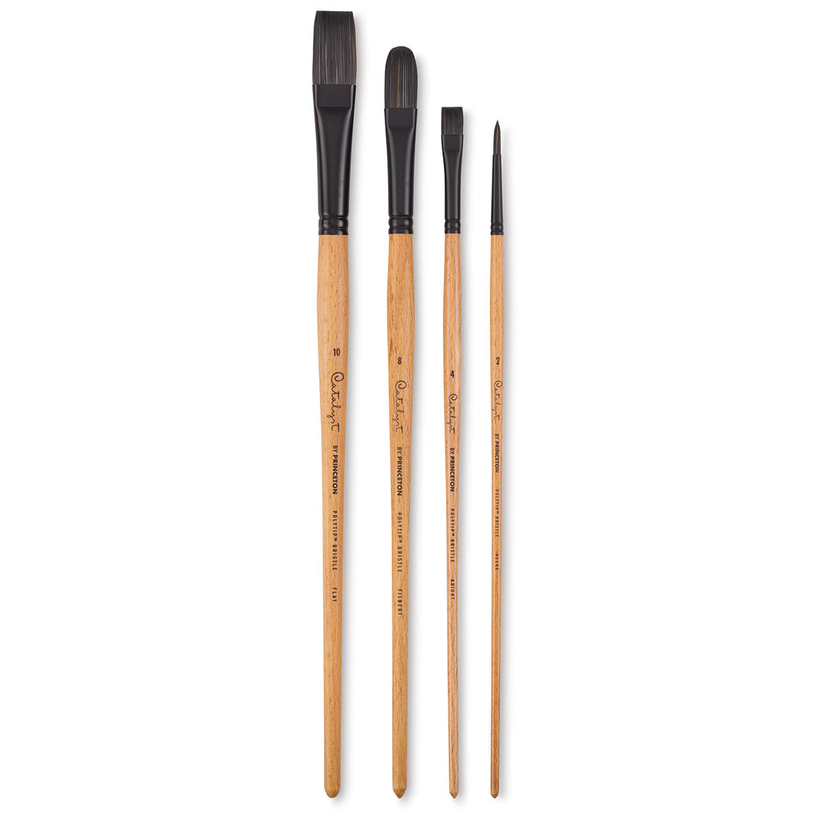 Blick Exclusive! Princeton Catalyst Polytip Bristle Brushes - Long Handle, Set of 4 (full length) Blick Exclusive! Princeton Catalyst Polytip Bristle Brushes - Long Handle, Set of 4 (full length)
