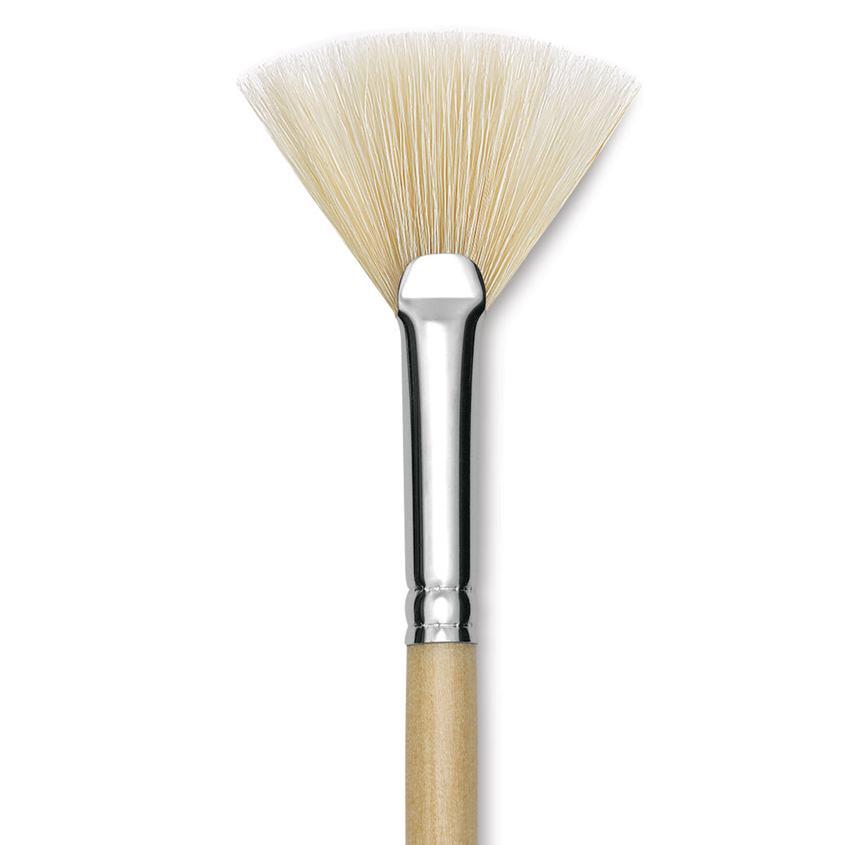 Utrecht Rhenish Pure Hog Bristle Brush - Fan, Size 6, Long Handle (close-up) Utrecht Rhenish Pure Hog Bristle Brush - Fan, Size 6, Long Handle (close-up)