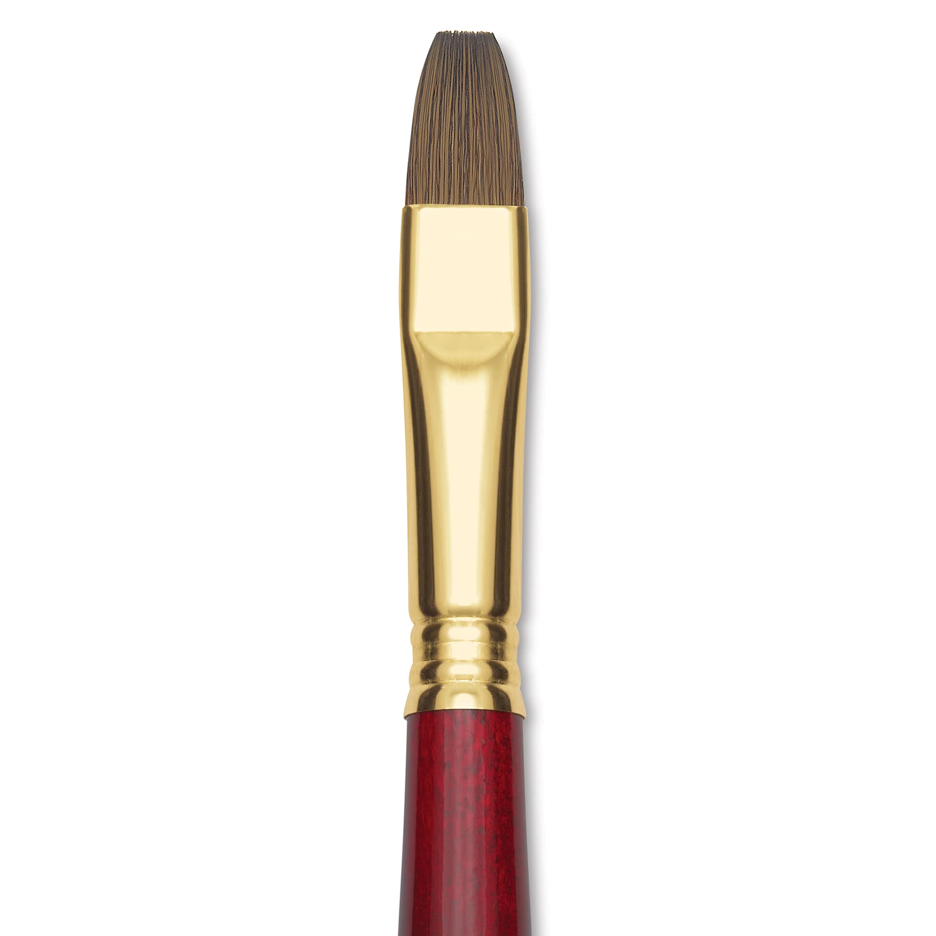Blick Master Synthetic Kolinsky Brush - Short Handle, Bright, Size 14, close-up