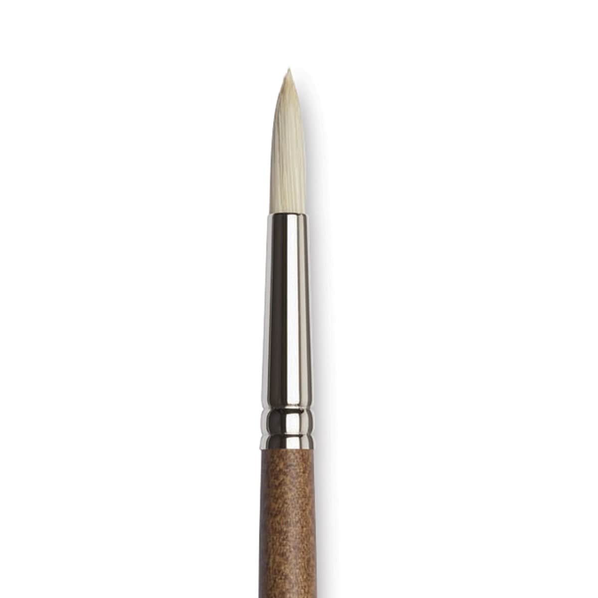 Winsor & Newton Artists' Oil Synthetic Hog Brush - Round, Size 6, Long Handle (close-up) Winsor & Newton Artists' Oil Synthetic Hog Brush - Round, Size 6, Long Handle (close-up)