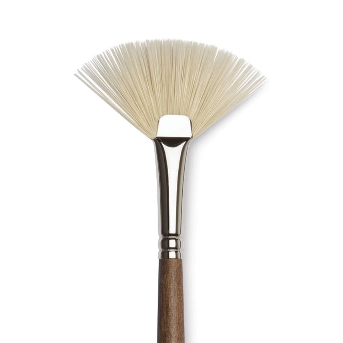 Winsor & Newton Artists' Oil Synthetic Hog Brush - Fan, Size 6, Long Handle (close-up) Winsor & Newton Artists' Oil Synthetic Hog Brush - Fan, Size 6, Long Handle (close-up)
