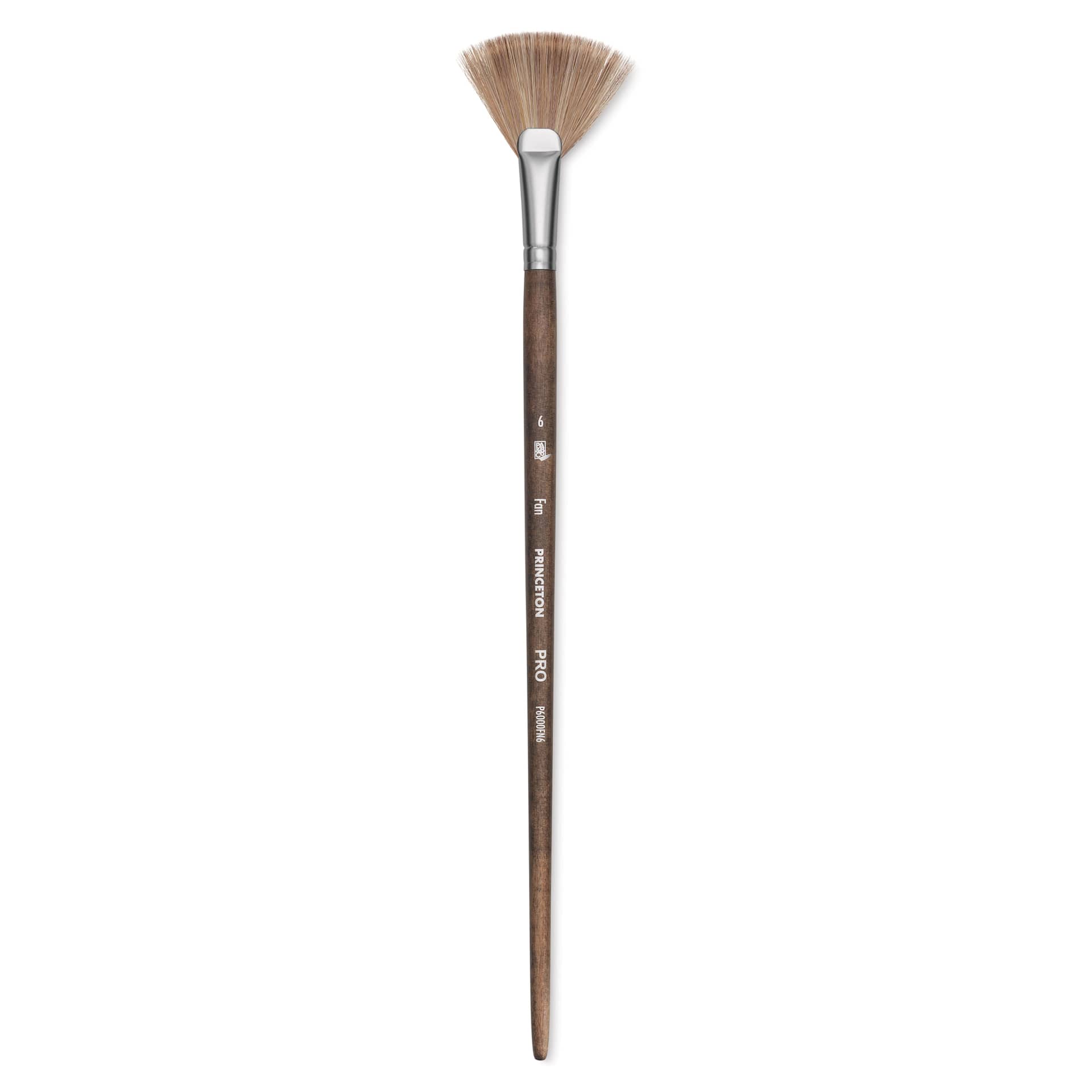 Princeton Pro Series 6000 Brush - Fan, Long Handle, Size 6