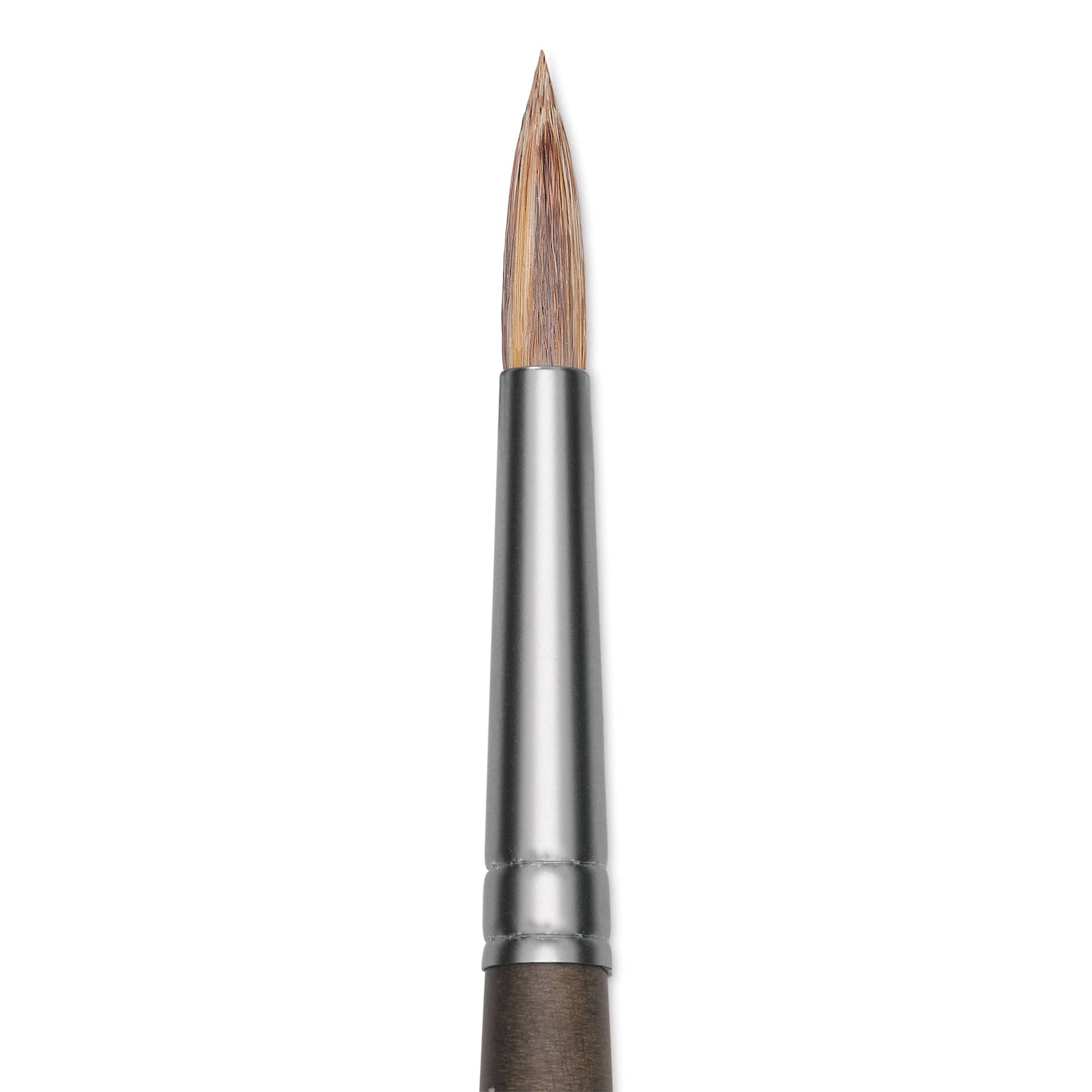 Princeton Pro Series 6000 Brush - Round, Long Handle, Size 4, close up