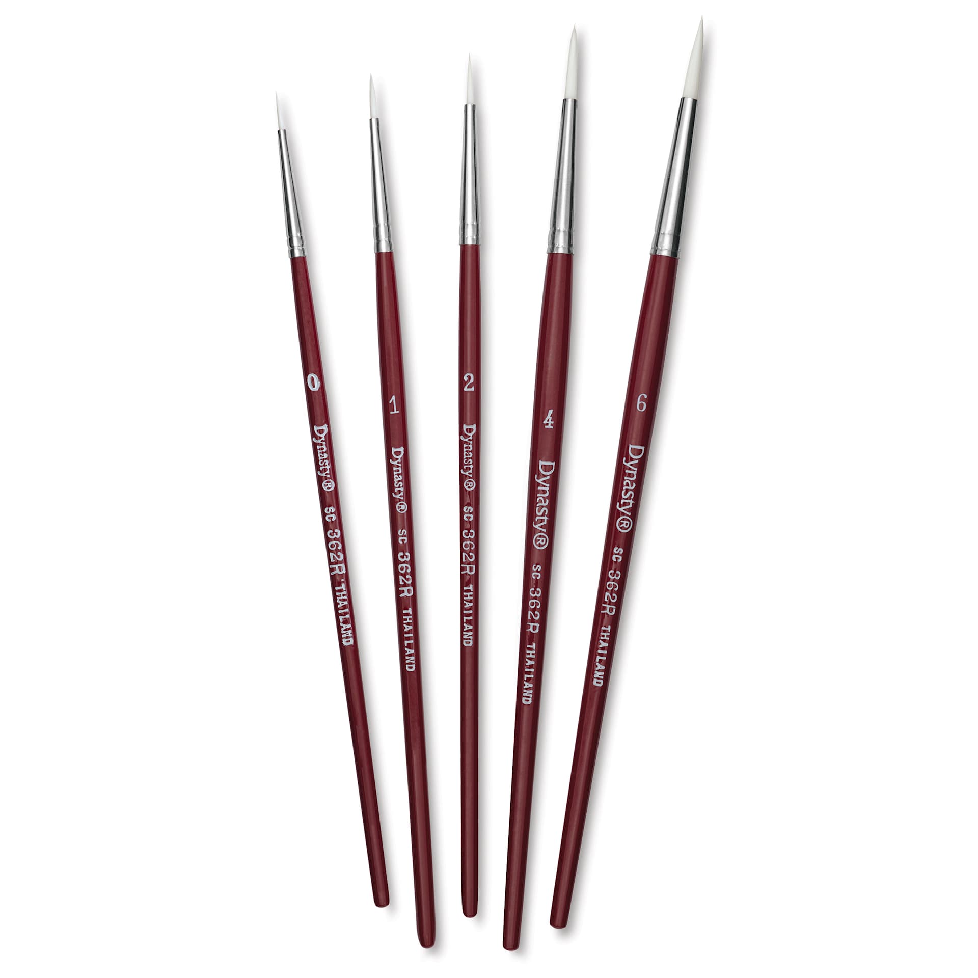 Dynasty Fine White Synthetic Brushes - Set of 1, Round, Set of 5, brushes fanned out