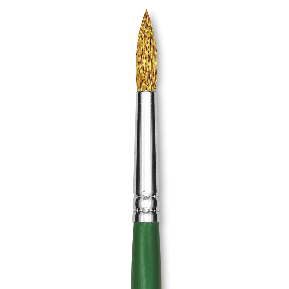 Blick Economy Sable Brush - Round, Size 8 close-up