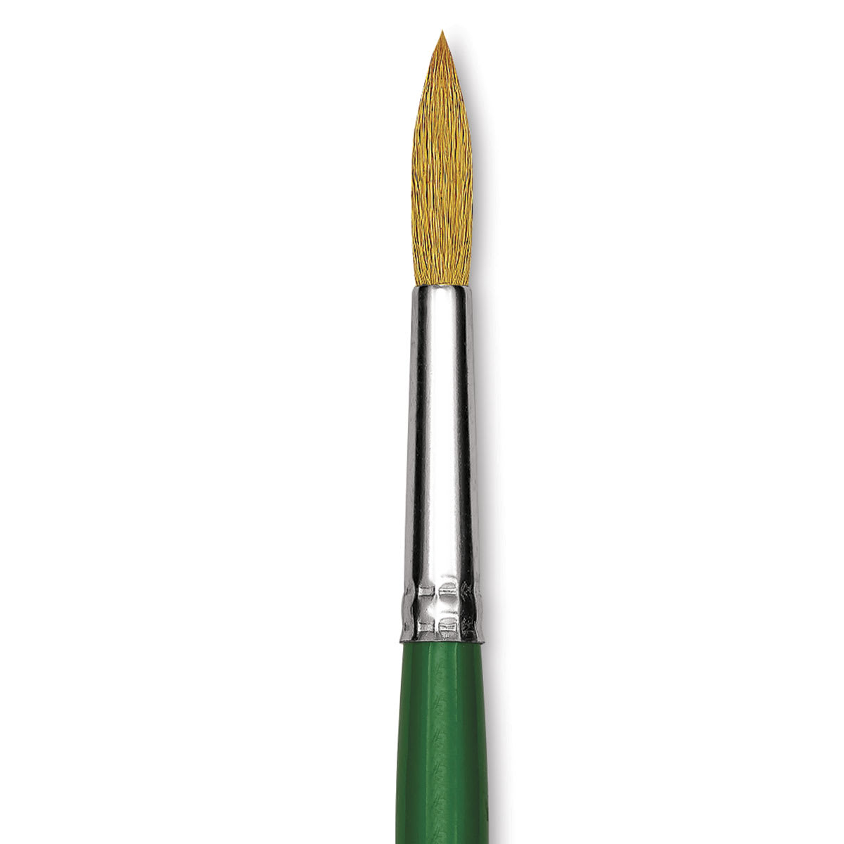 Blick Economy Sable Brush - Round, Size 10 close-up