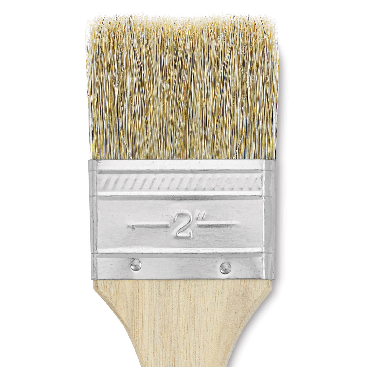 Blick Economy White Bristle Brush - Gesso, 2" close up