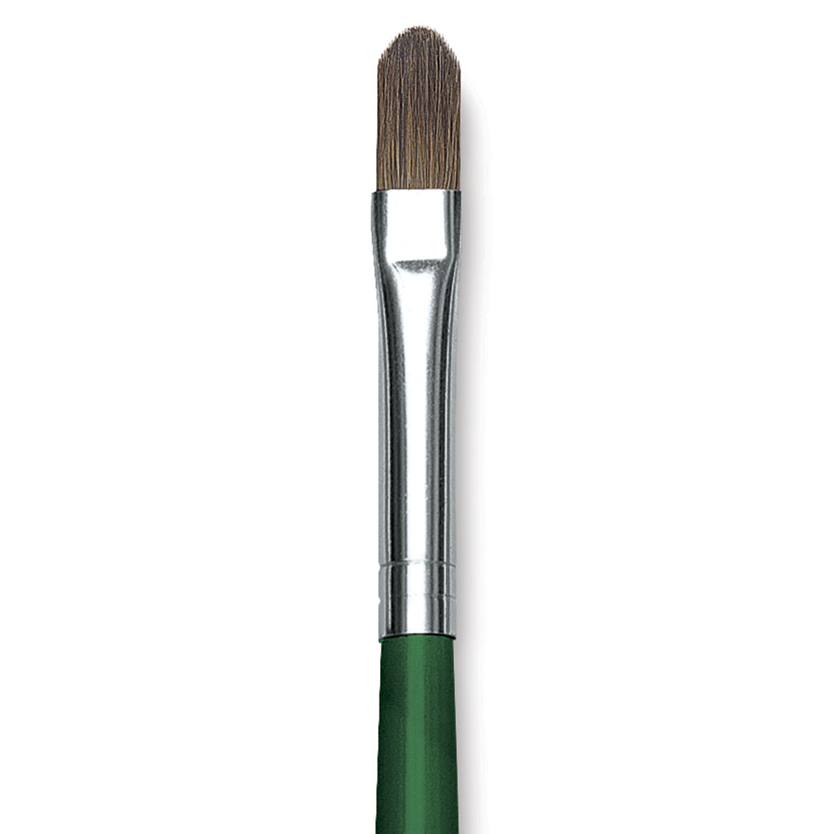 Blick Economy Sable Brush - Filbert, Long Handle, Size 8 close up