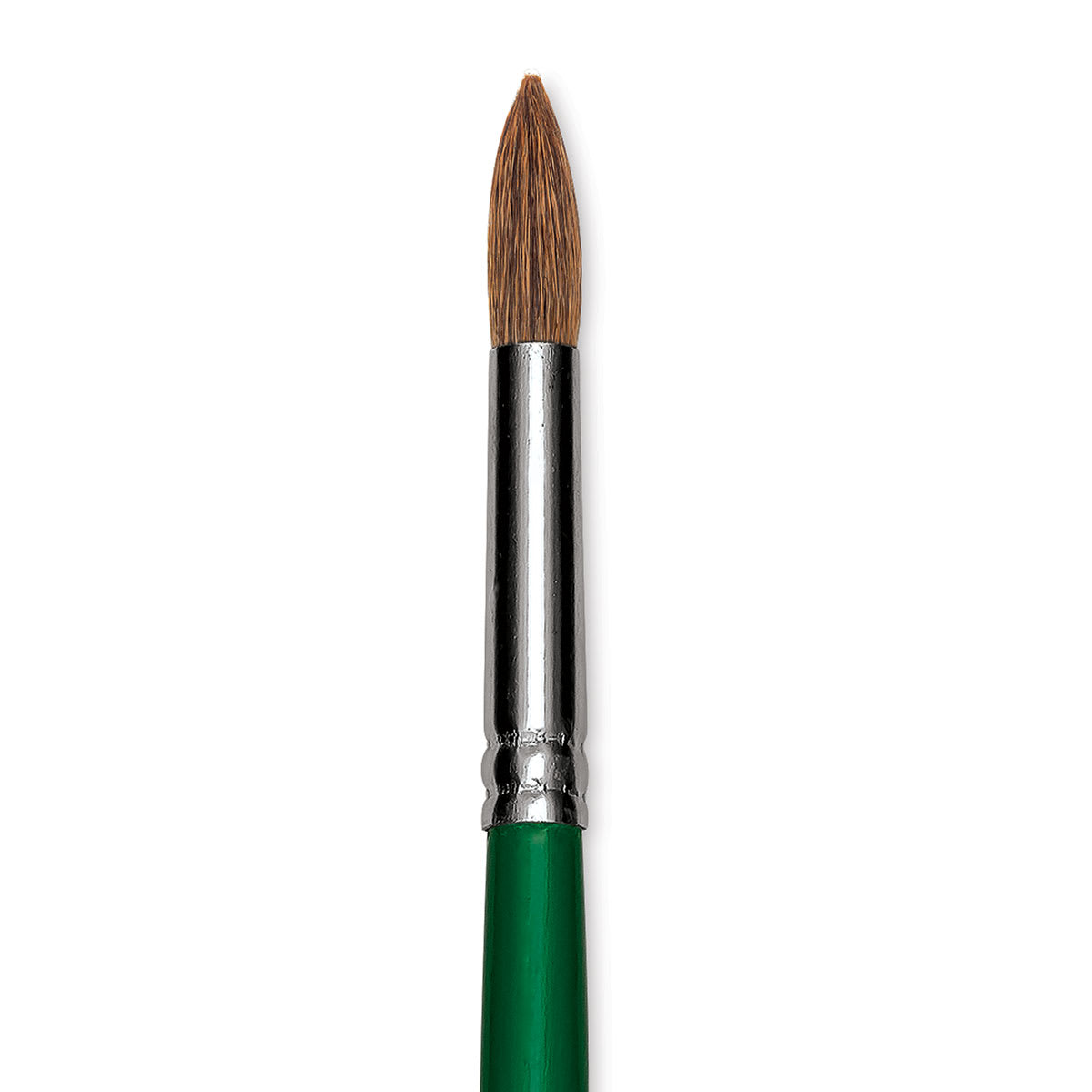 Blick Economy Sable Brush - Round, Long Handle, Size 14 close up