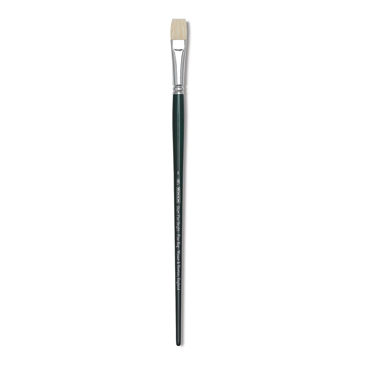 Winsor & Newton Winton Hog Bristle Brush - Bright, Long Handle, Size 8