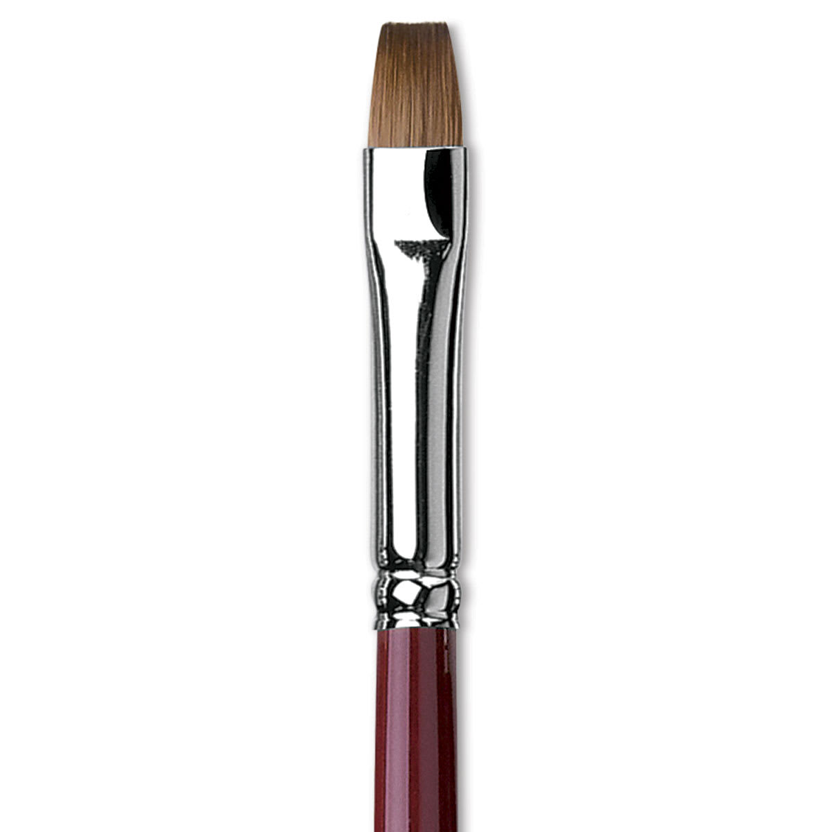 Da Vinci Kolinsky Red Oil Sable Brush - Bright, Long Handle, Size 8 close up