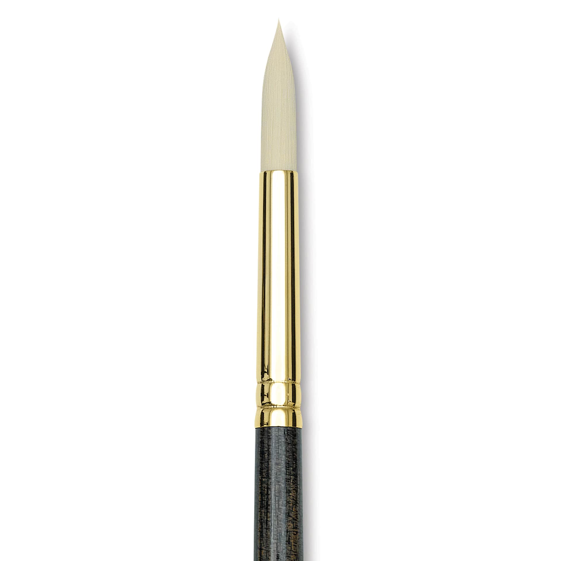 Princeton Series 6300 Dakota Synthetic Bristle Brush - Round, Long Handle, Size 8