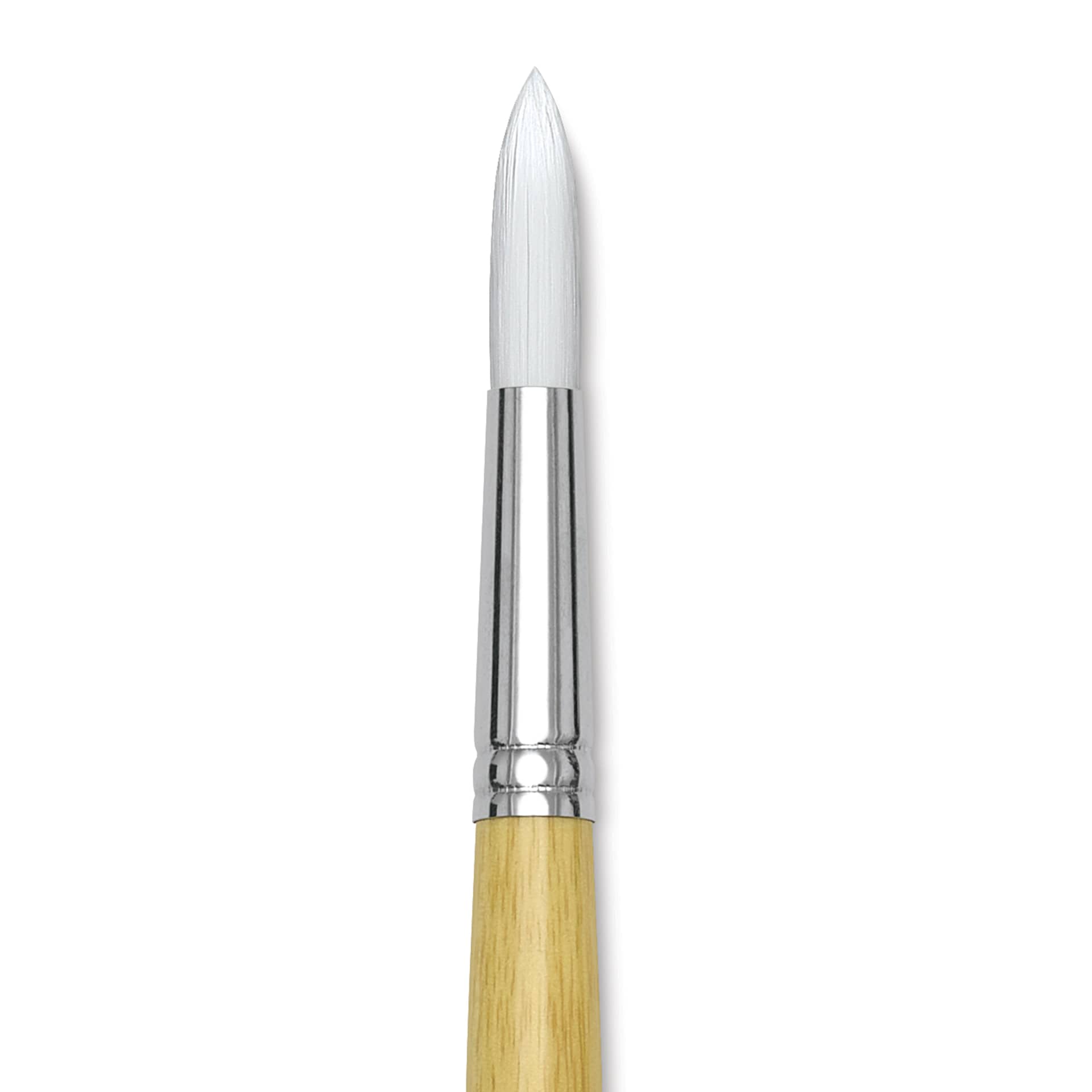 Blick Academic White Synthetic Brush - Round, Size 16, close-up