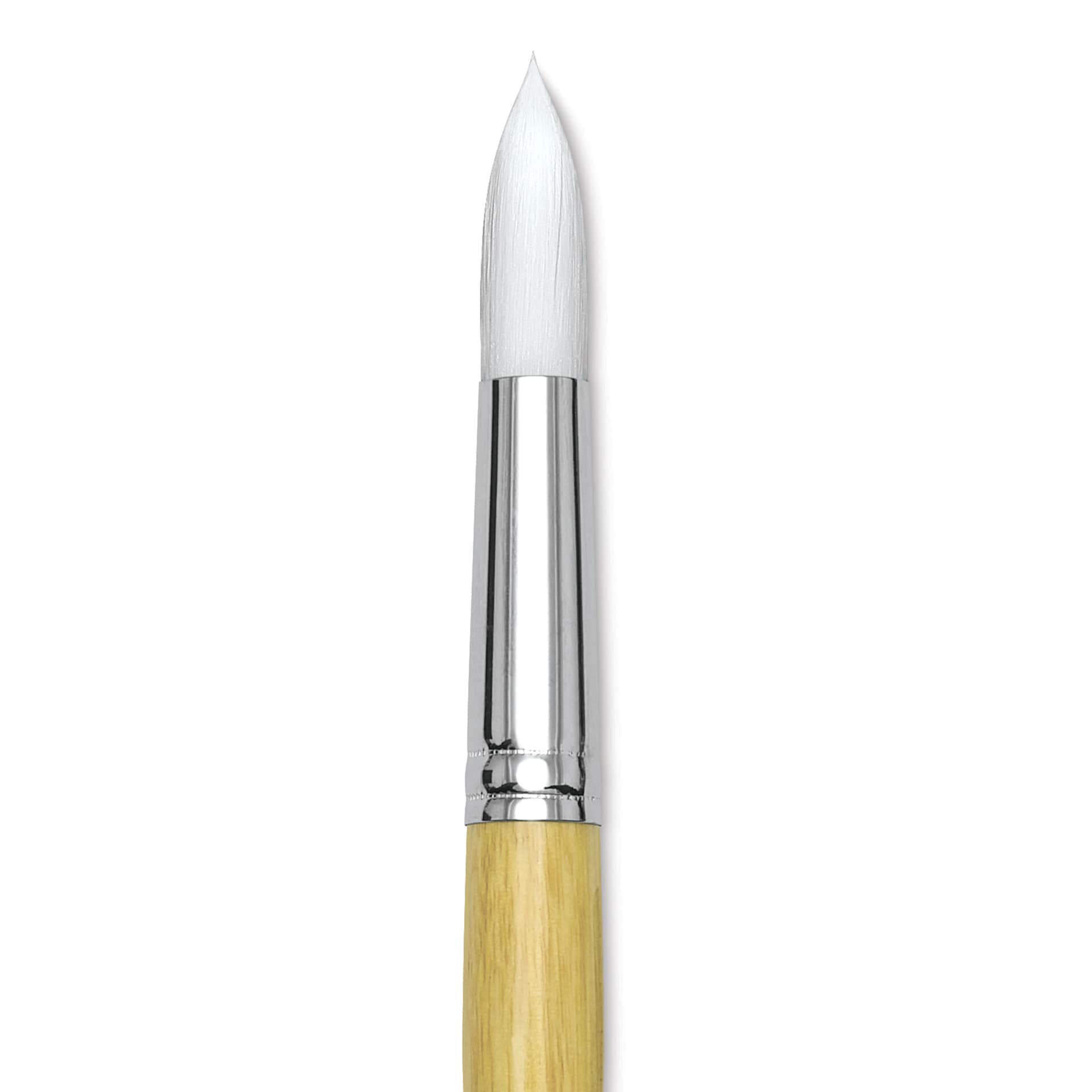 Blick Academic White Synthetic Brush - Round, Size 20, close-up