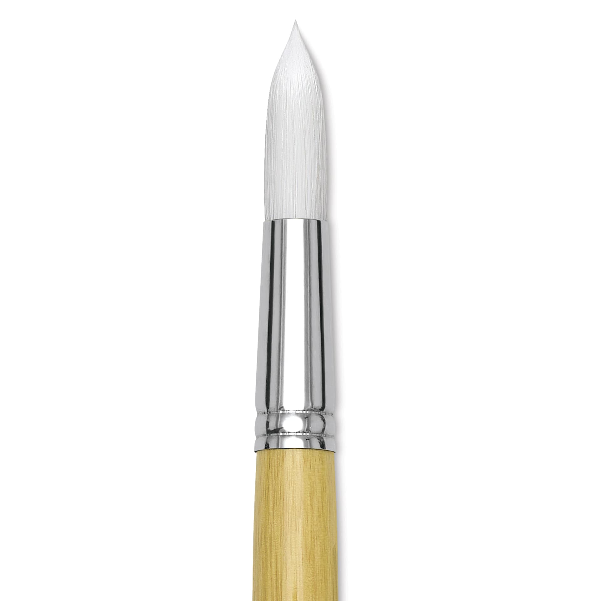 Blick Academic White Synthetic Brush - Round, Size 24, close-up