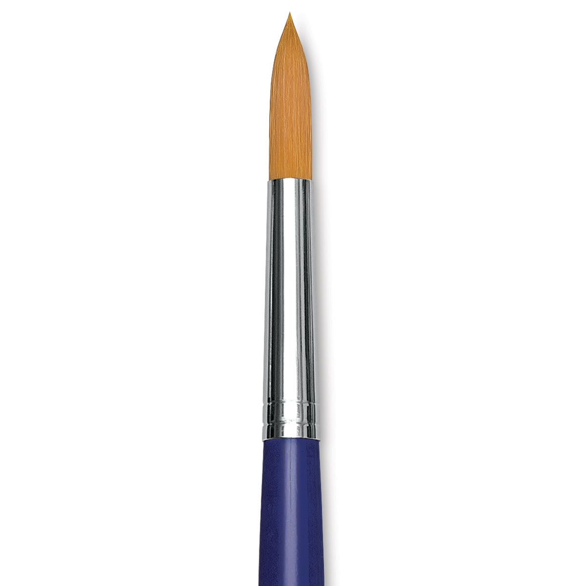 Blick Scholastic Golden Taklon Brush - Round, Long Handle, Size 12 close up