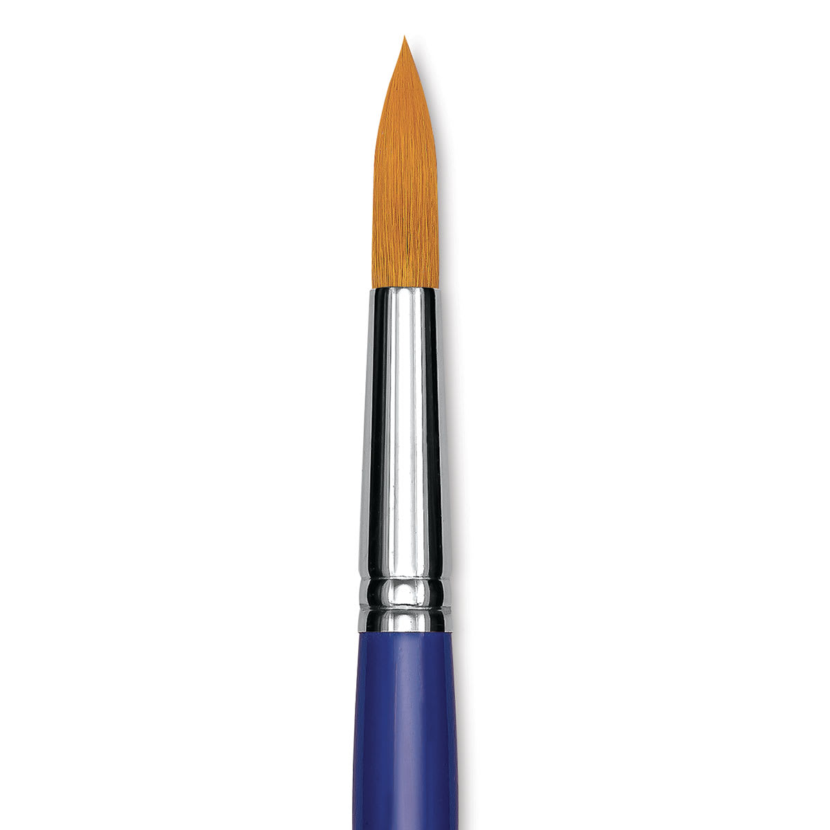 Blick Scholastic Golden Taklon Brush - Round, Long Handle, Size 16 close up