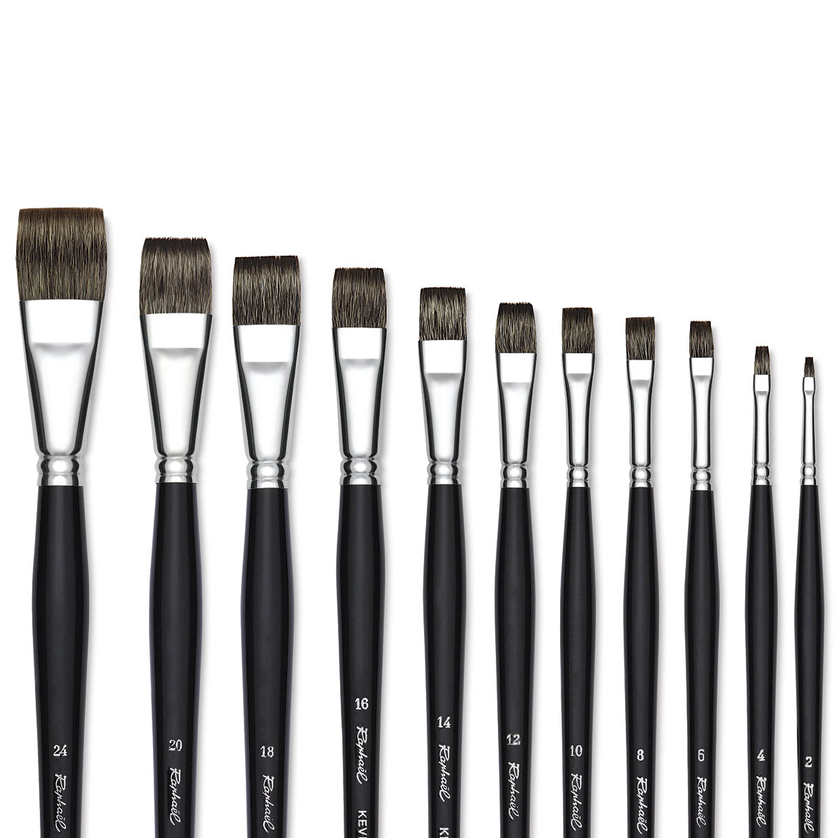 Raphaël Kevrin Plus Brushes - Closeup of tips of various size Bright Brushes