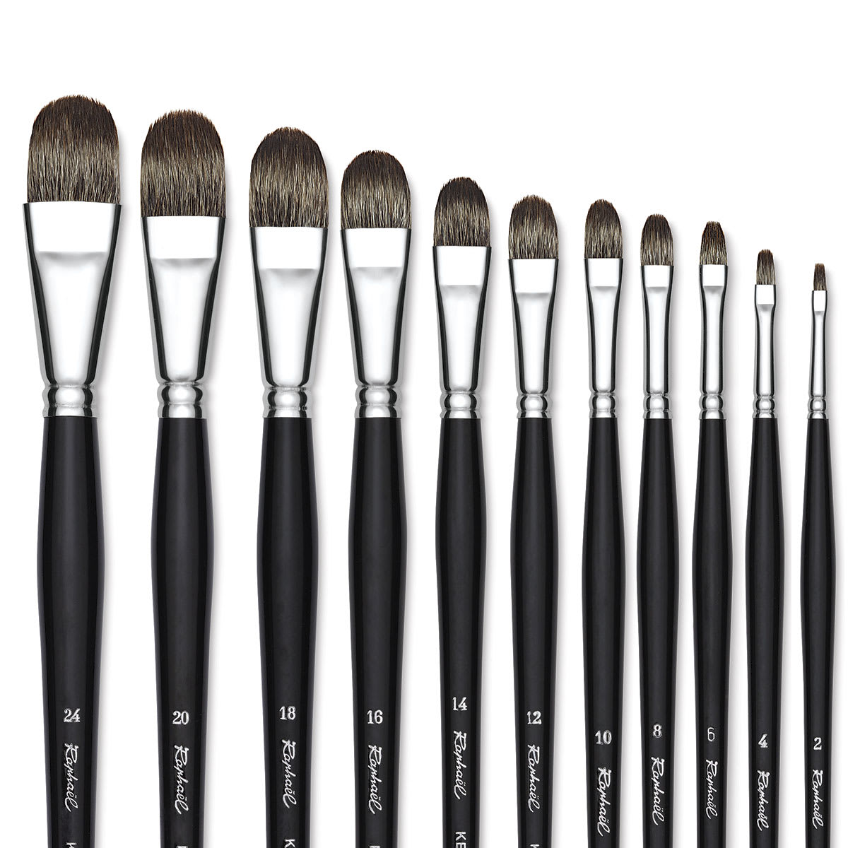 Raphaël Kevrin Plus Brushes - Closeup of tips of various size Filbert Brushes
