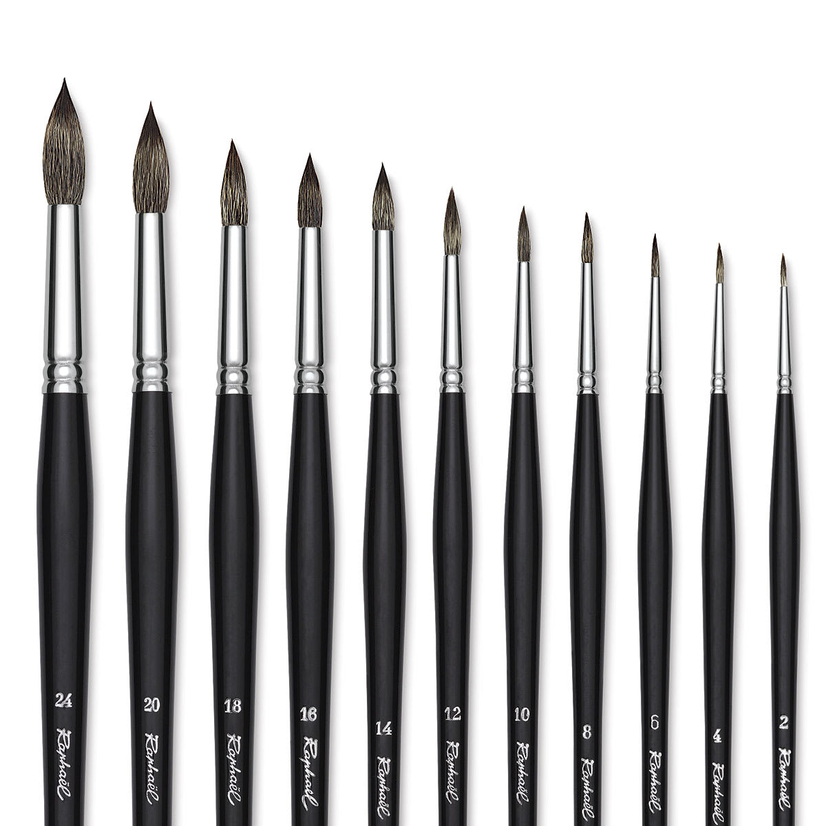 Raphaël Kevrin Plus Brushes - Closeup of tips of various size Round Brushes