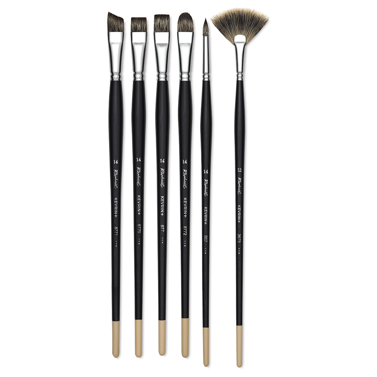 Raphaël Kevrin Plus Brushes - Various Brush styles shown upright