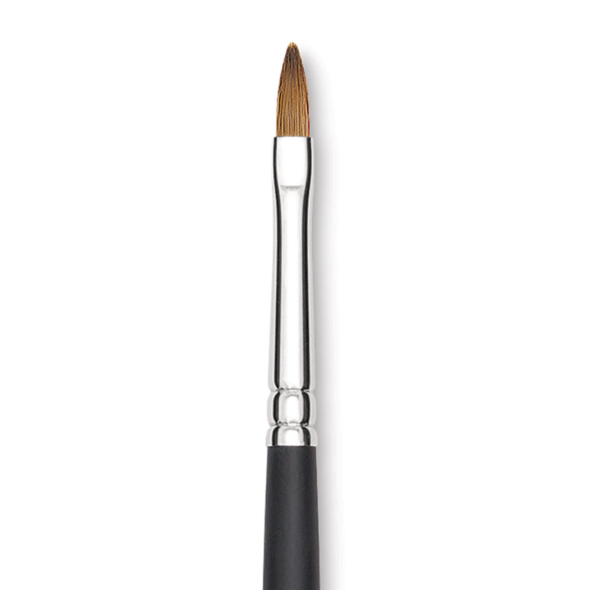 Blick Masterstroke Finest Red Sable Brush - Filbert, Size 3, Long Handle close-up