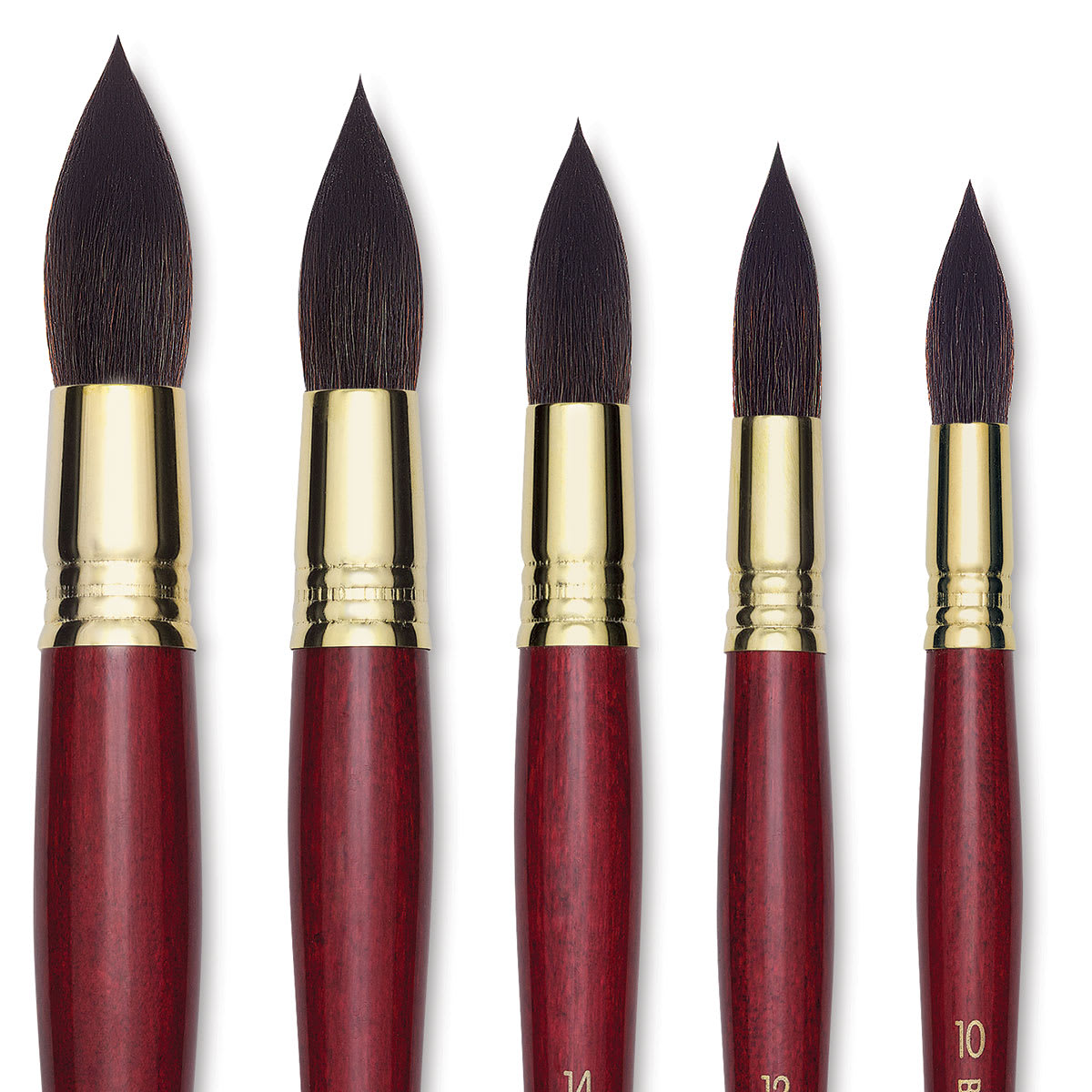 Blick Master Synthetic Squirrel Brushes - Closeup of tips of 5 Mop brushes

