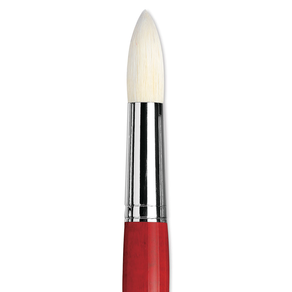 Da Vinci Maestro 2 Hog Bristle Brush - Round, Long Handle, Size 20 close up