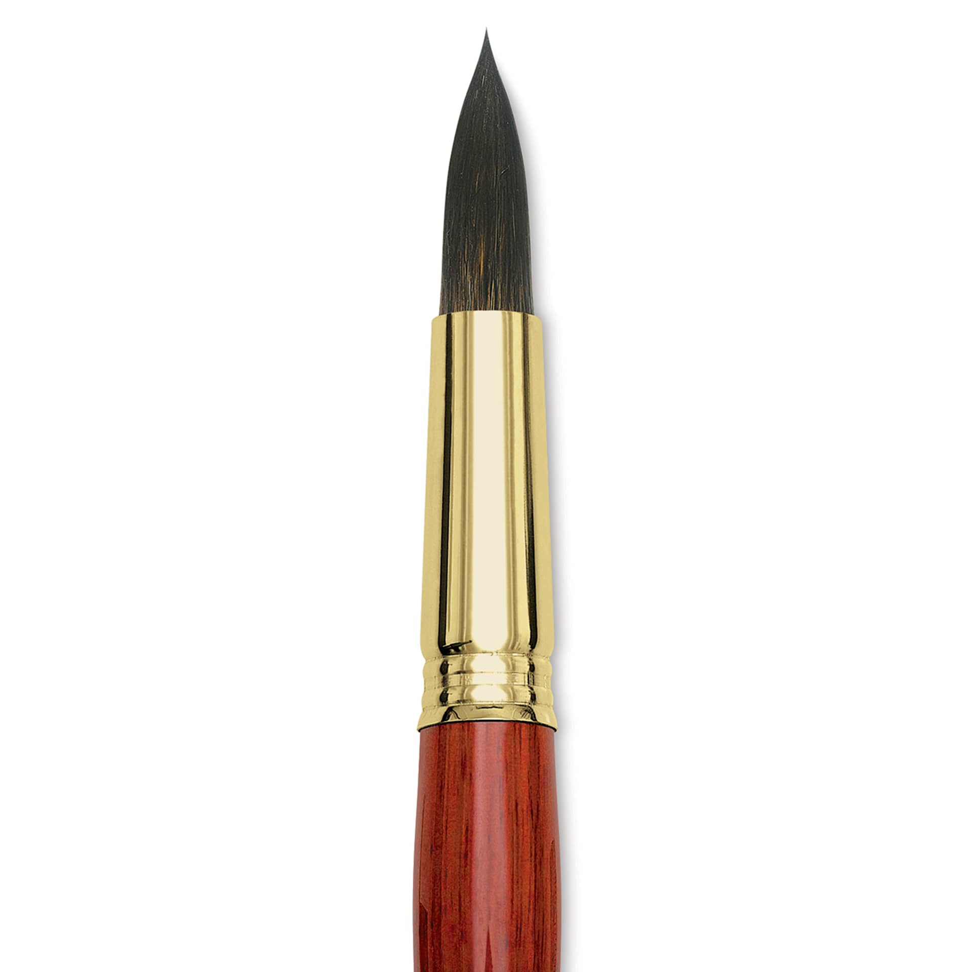 Blick Master Natural Brush - Round, Size 20, close-up