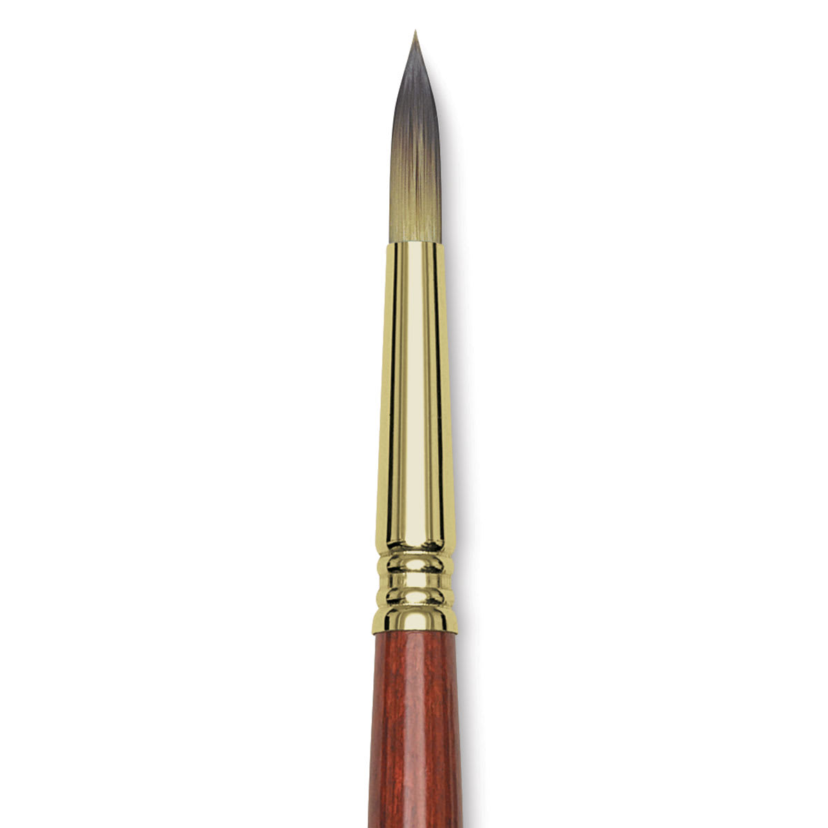 Blick Master Short Handle Synthetic Brush - Round, Size 10, close-up