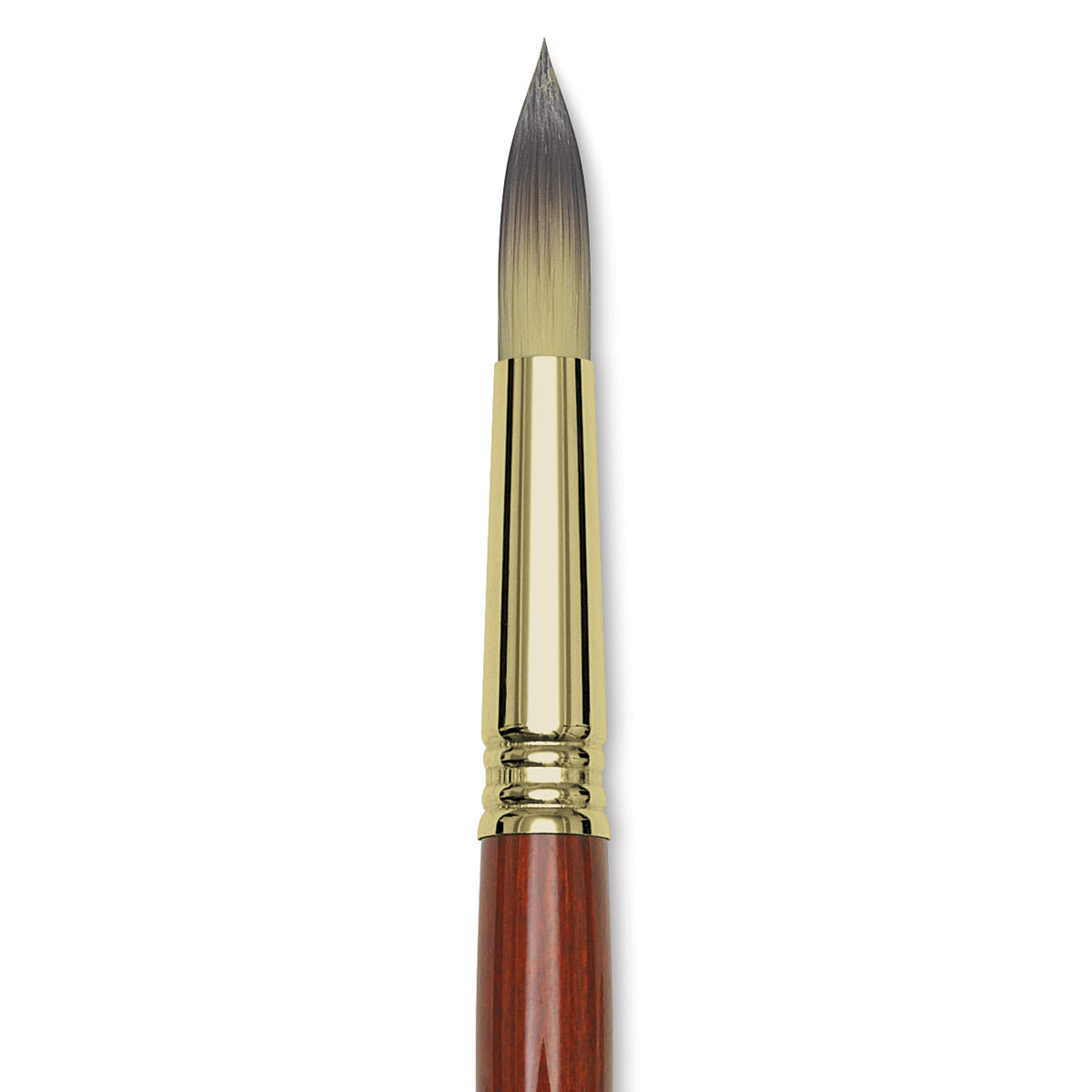 Blick Master Short Handle Synthetic Brush - Round, Size 16, close-up
