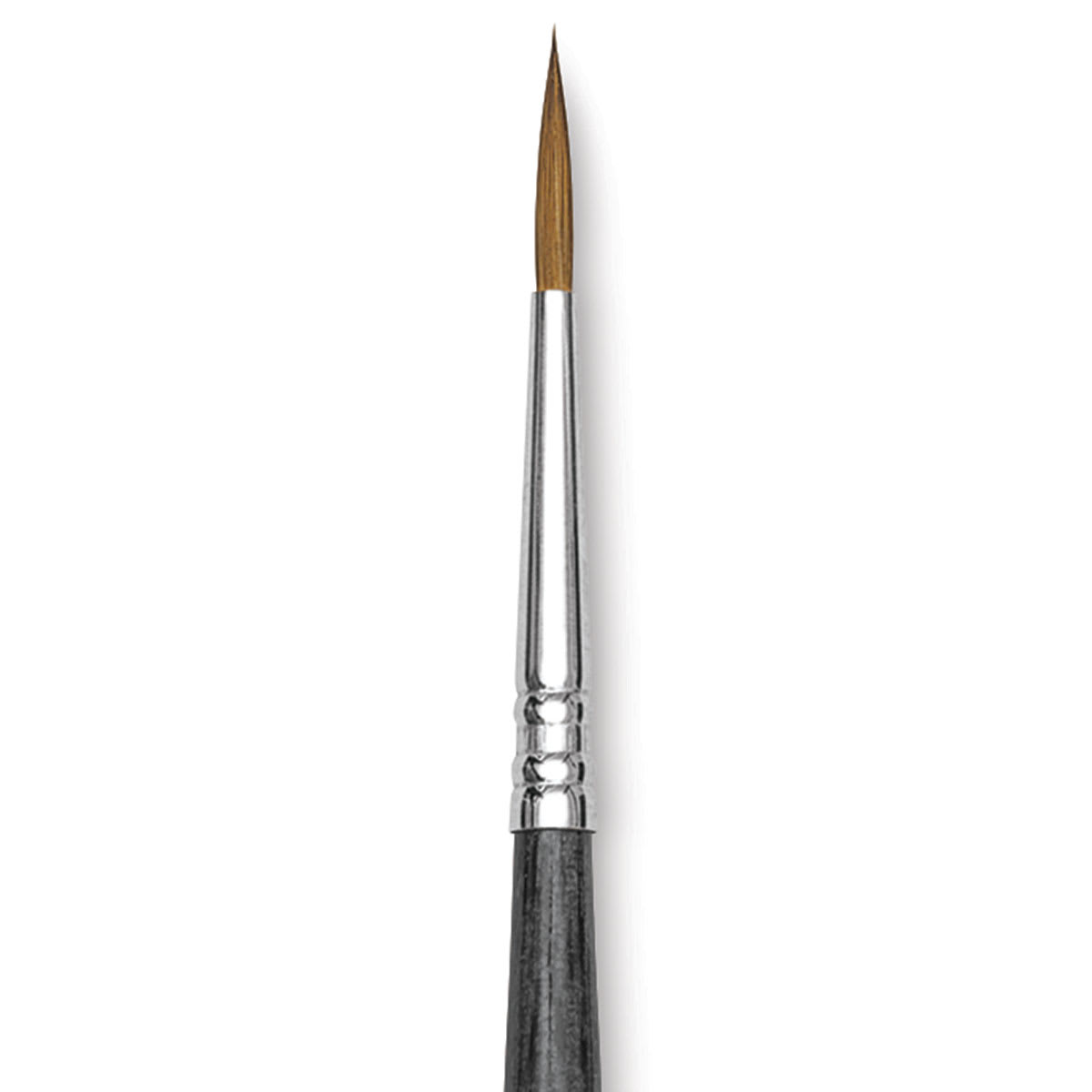 Blick Studio Sable Brush - Round, Short Handle, Size 2 close up