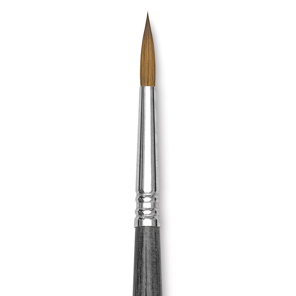 Blick Studio Sable Brush - Round, Short Handle, Size 6 close up