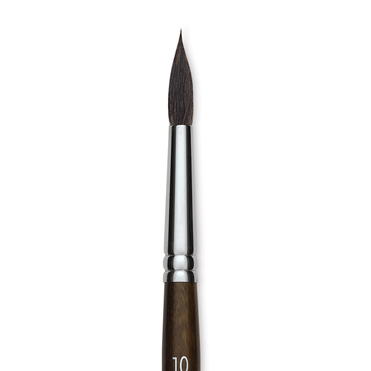 Blick Studio Natural Squirrel Brush - Round, Black Handle, Size 10 close up
