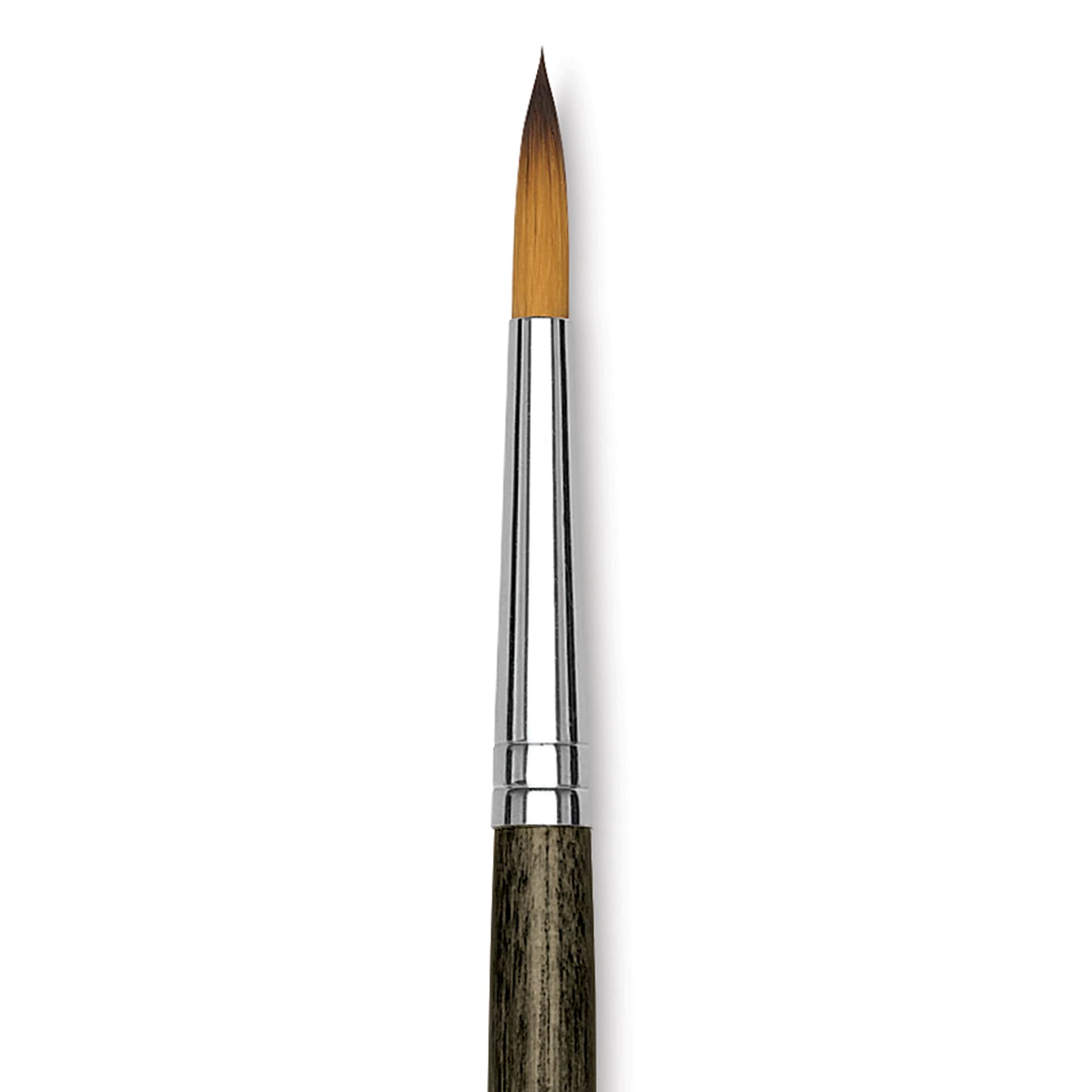 Blick Studio Short Handle Synthetic Brush - Round, Black Handle, Size 6, close up