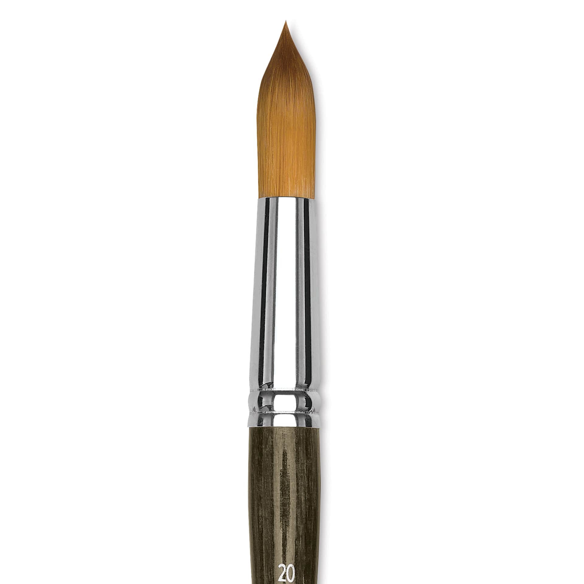 Blick Studio Short Handle Synthetic Brush - Round, Black Handle, Size 20, close up