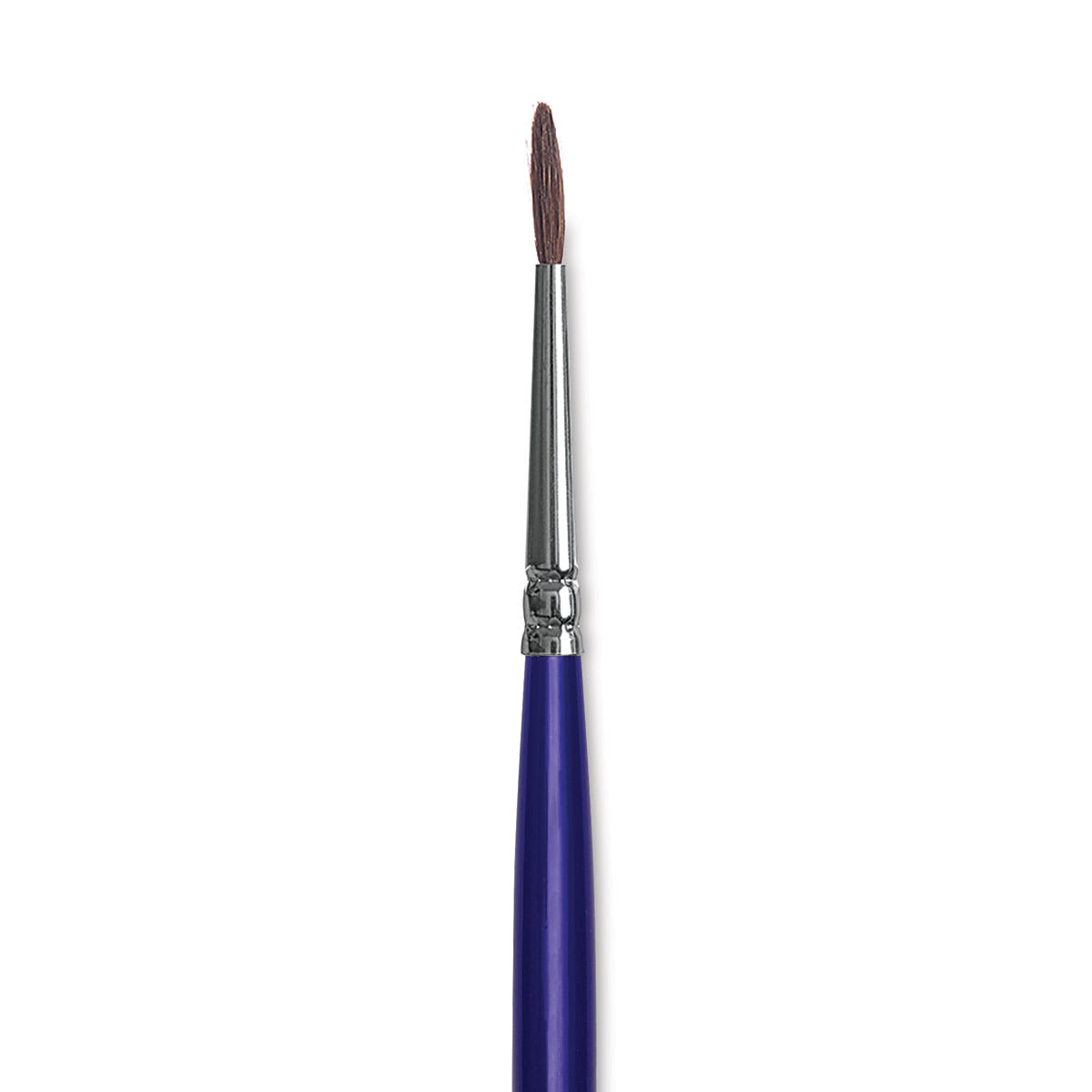 Blick Scholastic Short Handle Red Sable Brush - Round, Size 1 close up