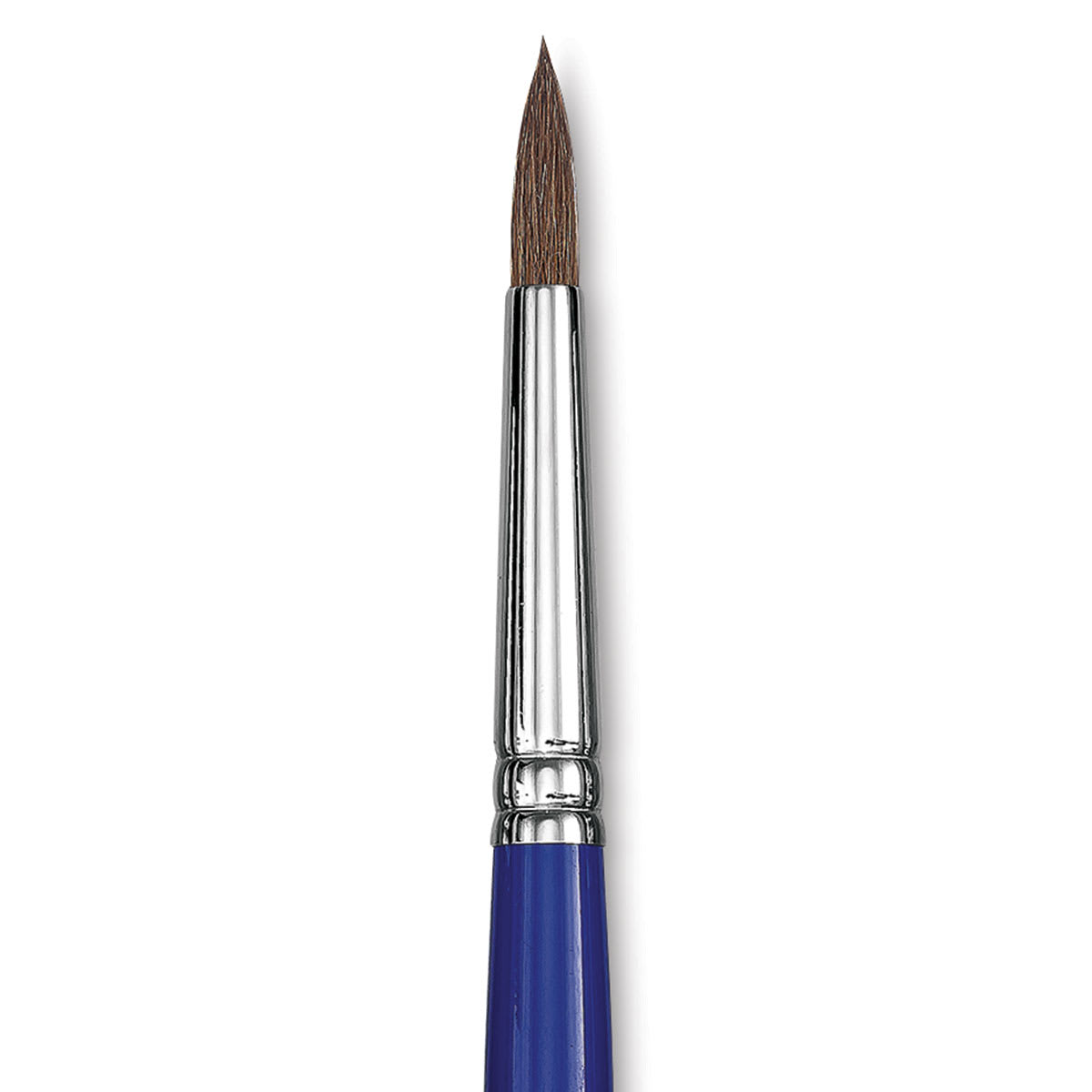 Blick Scholastic Pony Brush - Round, Short Handle, Size 10 close up