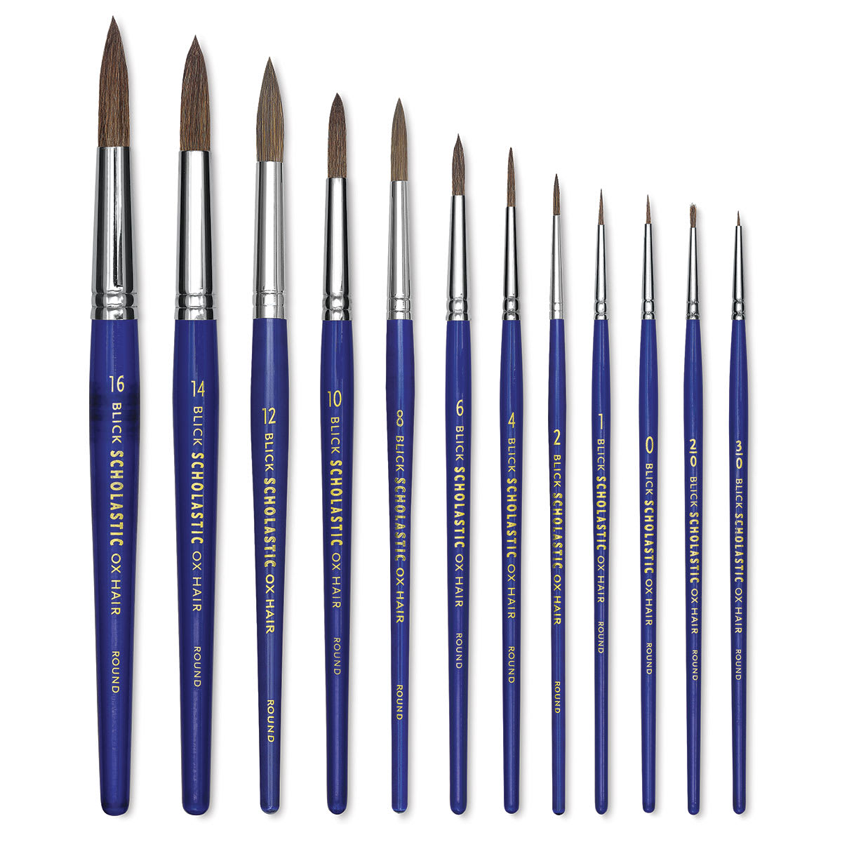 Blick Scholastic Ox Brush Set - Round, Short Handle, Set of 12