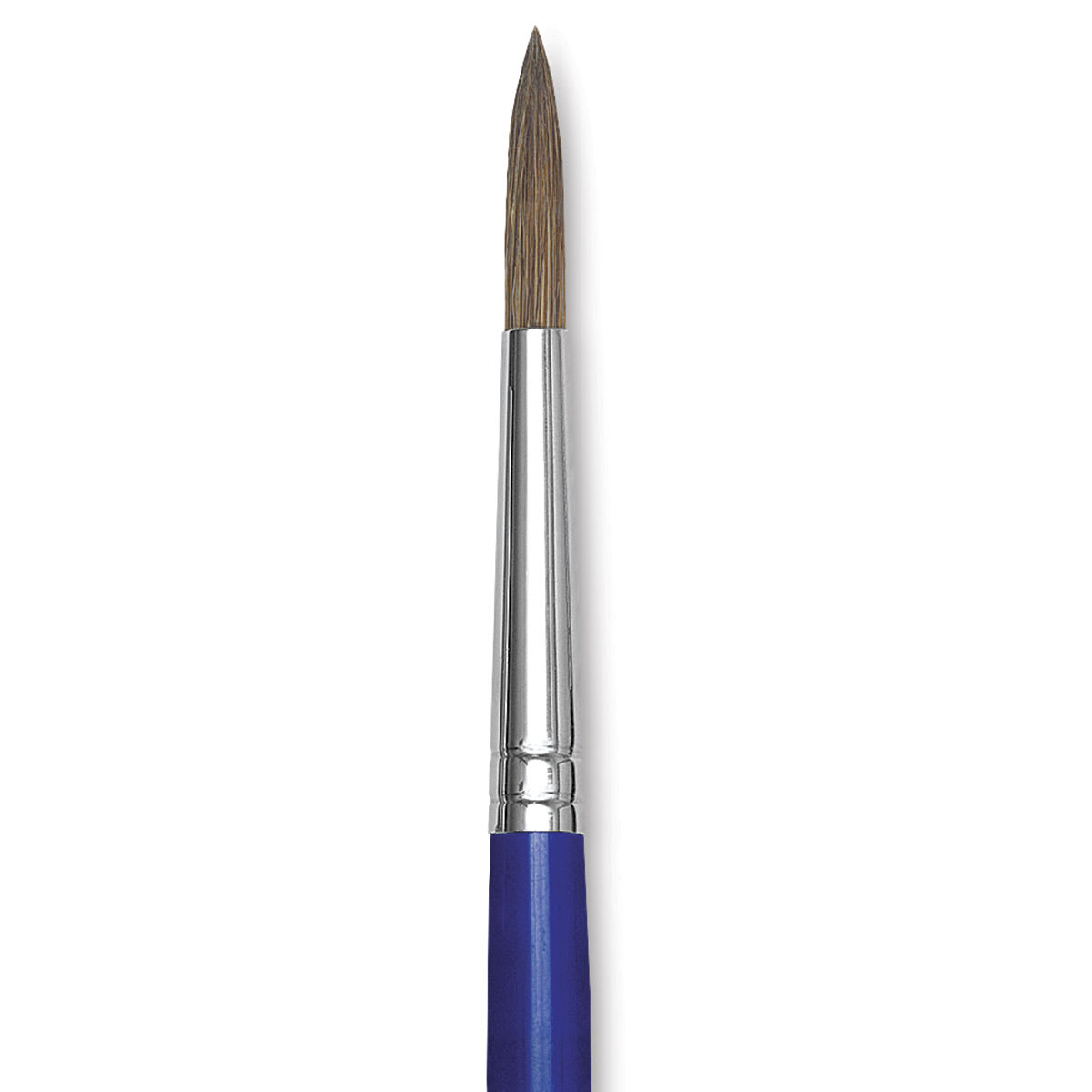 Blick Scholastic Ox Brush - Round, Short Handle, Size 8 close up