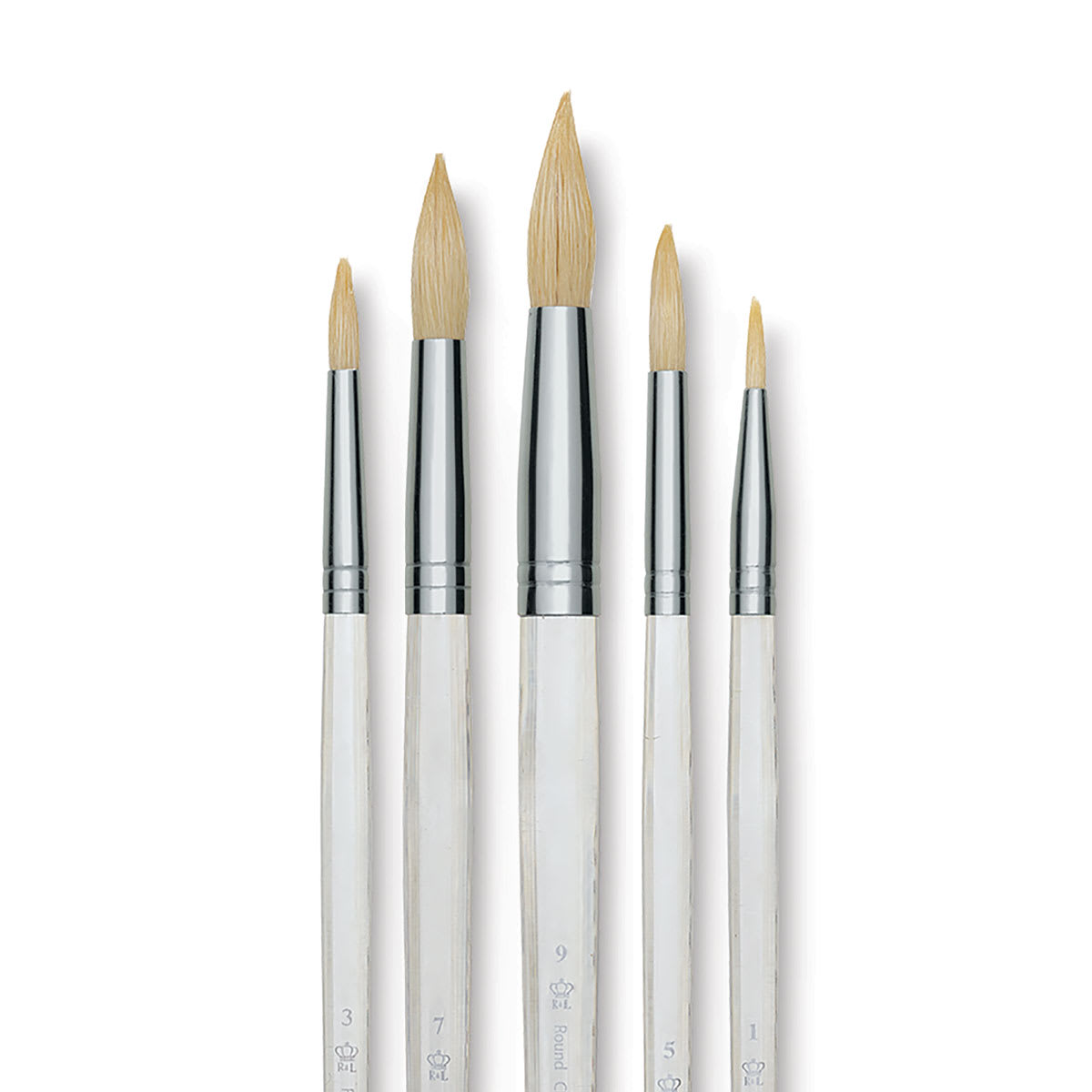 Royal Langnickel Clear Choice Brush Set - White Bristle, Round, Set of 60, Long Handle (close-up of brushes) Royal Langnickel Clear Choice Brush Set - White Bristle, Round, Set of 60, Long Handle (close-up of brushes)