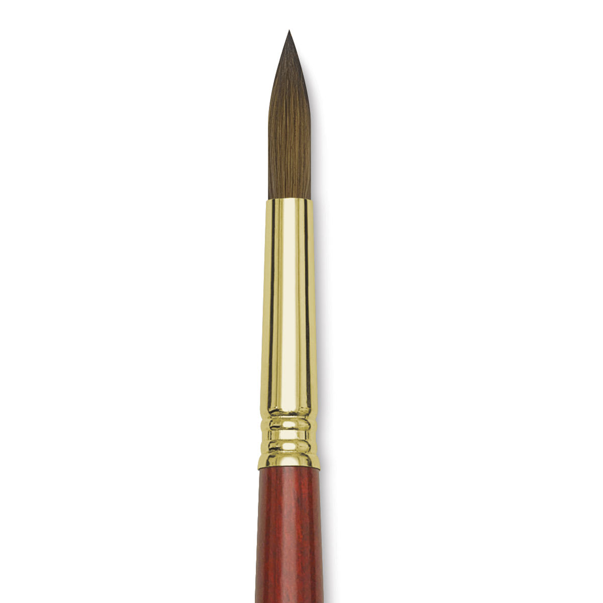 Blick Master Kolinsky Sable Brush - Round, Long Handle, Size 12 close up
