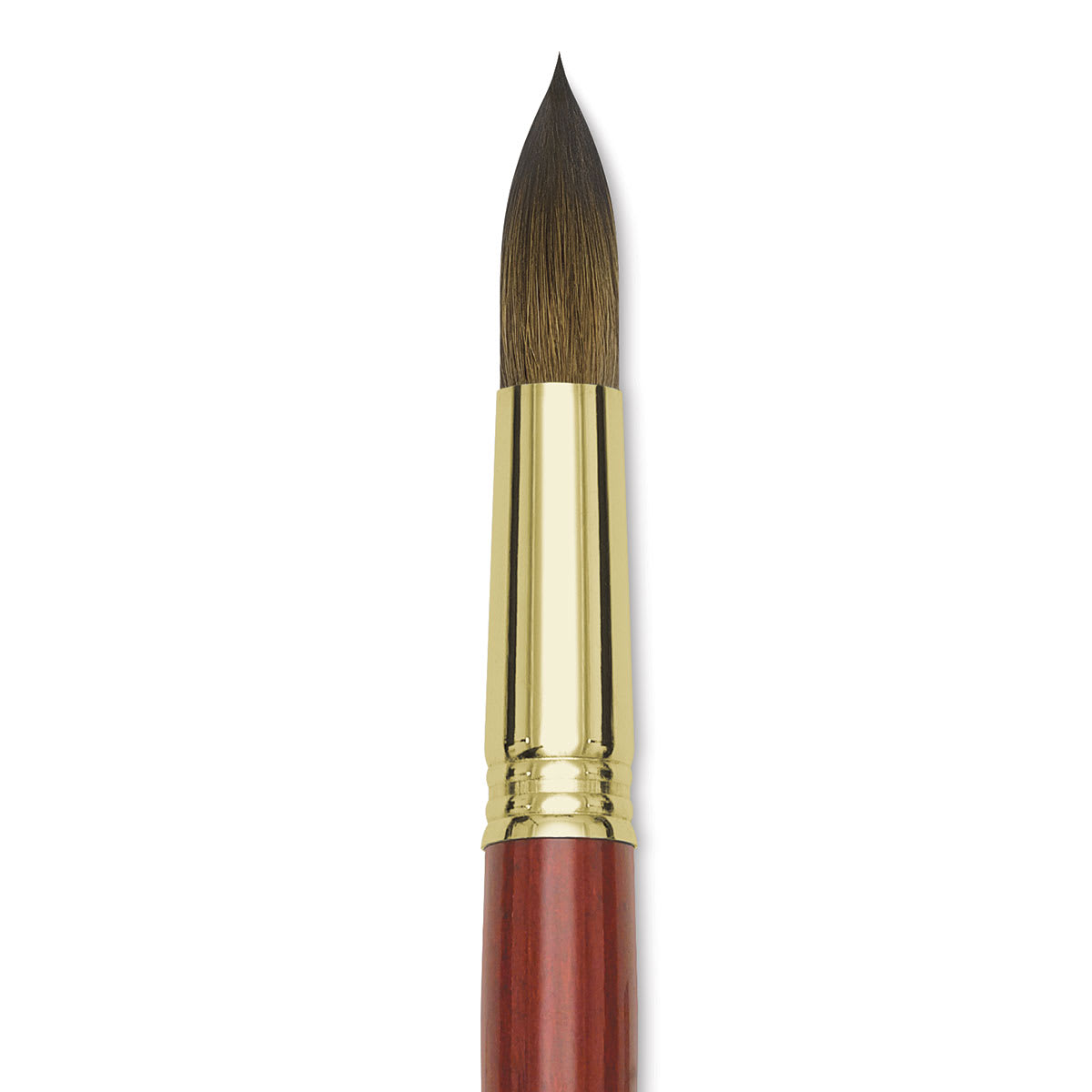 Blick Master Kolinsky Sable Brush - Round, Long Handle, Size 20 close up